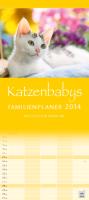 Katzenbabys - Familienplaner 2014