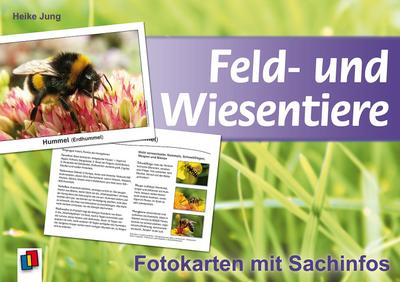 Feld- und Wiesentiere