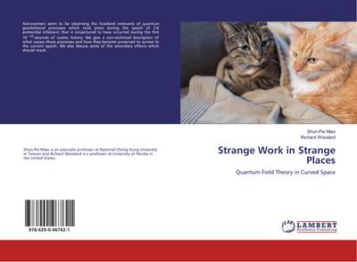 Strange Work in Strange Places