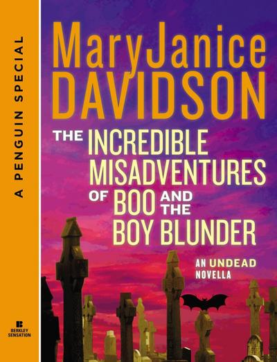 The Incredible Misadventures of Boo and the Boy Blunder