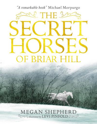 Shepherd, M: Secret Horses of Briar Hill