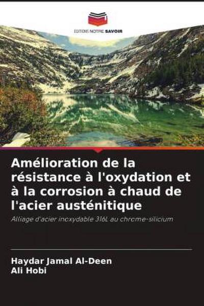 Amélioration de la résistance à l’oxydation et à la corrosion à chaud de l’acier austénitique