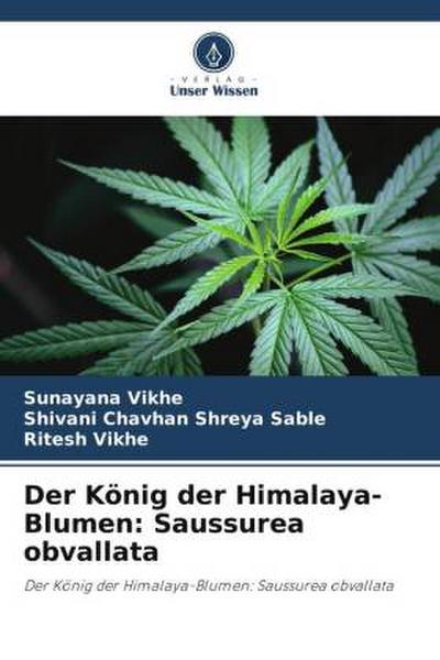 Der König der Himalaya-Blumen: Saussurea obvallata