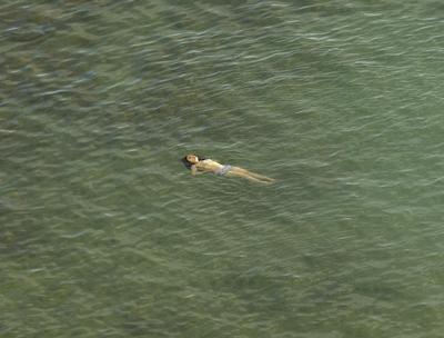 Richard Misrach: The Mysterious Opacity of Other Beings (Signed Edition)