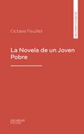 La Novela de un Joven Pobre