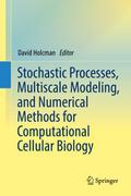 Stochastic Processes, Multiscale Modeling, and Num