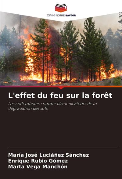 L’effet du feu sur la forêt
