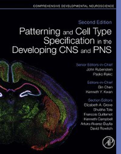 Patterning and Cell Type Specification in the Developing CNS and PNS