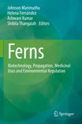 Ferns
