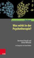 Was wirkt in der Psychotherapie?