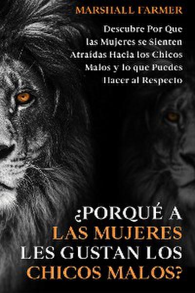 ¿Porqué a las Mujeres les Gustan los Chicos Malos?