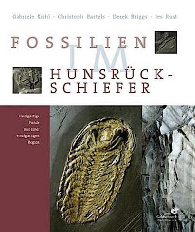 Fossilien im Hunsrück Schiefer
