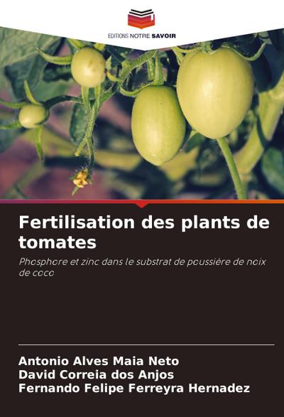 Fertilisation des plants de tomates