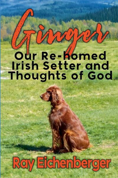 Ginger- Our Re-homed Irish Setter and Thoughts of God