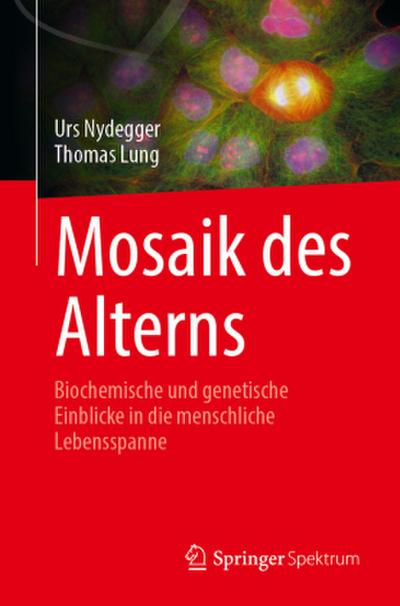 Mosaik des Alterns