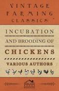 Incubation and Brooding of Chickens