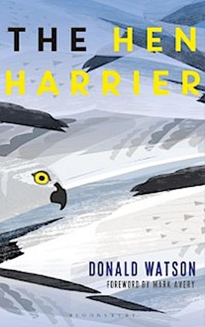 Hen Harrier