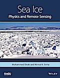 Sea Ice