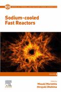 Sodium-cooled Fast Reactors