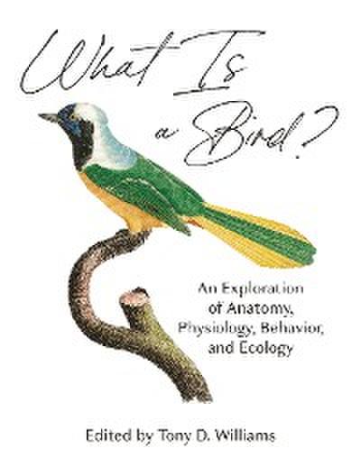 What Is a Bird?