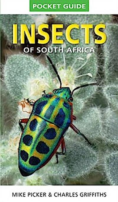 Pocket Guide to Insects of South Africa