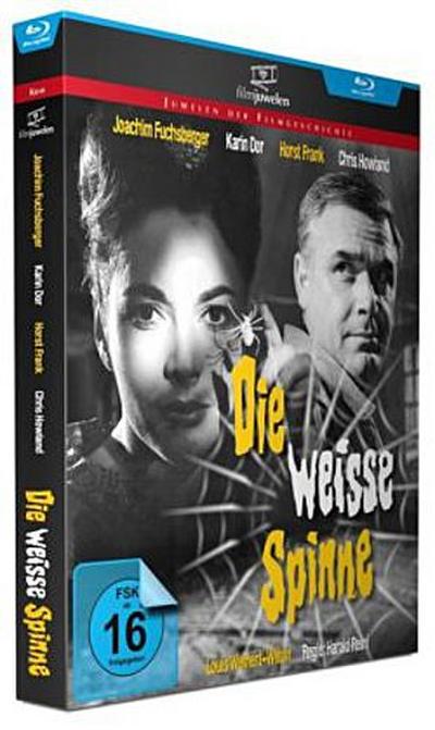 Die weisse Spinne