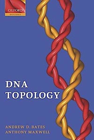DNA Topology