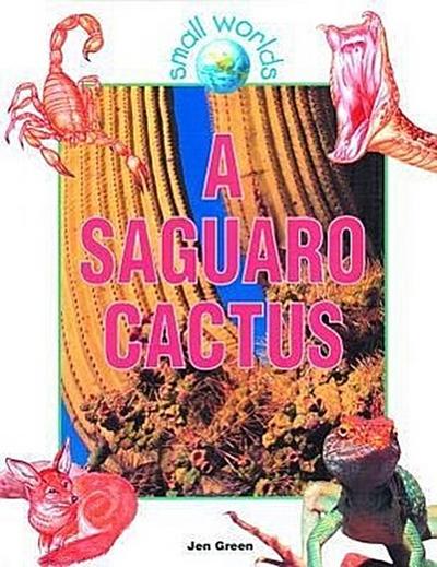 A Saguaro Cactus