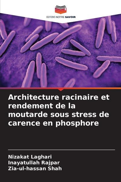 Architecture racinaire et rendement de la moutarde sous stress de carence en phosphore