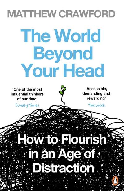 The World Beyond Your Head