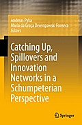 Catching Up, Spillovers and Innovation Networks in a Schumpeterian Perspective