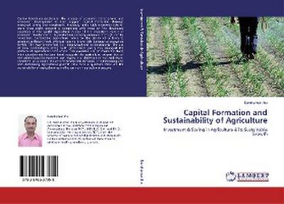 Capital Formation and Sustainability of Agriculture