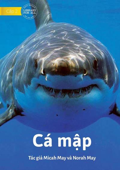Sharks - Cá m¿p