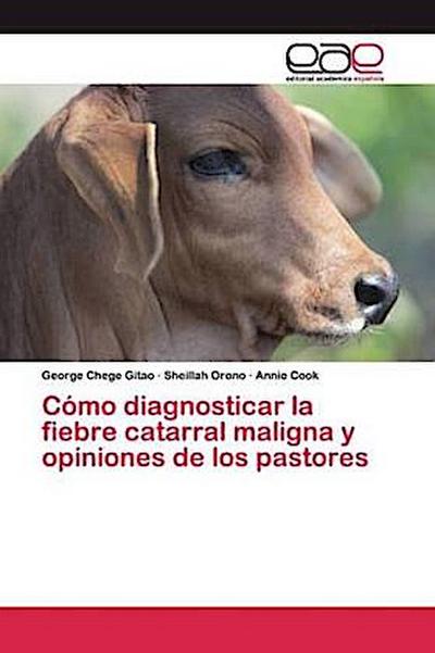 Cómo diagnosticar la fiebre catarral maligna y opiniones de los pastores