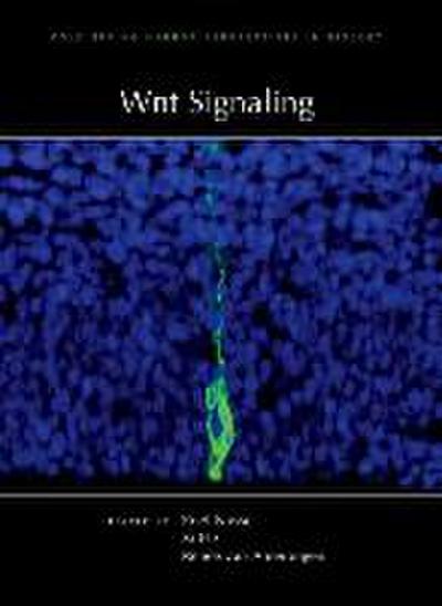 Wnt Signaling