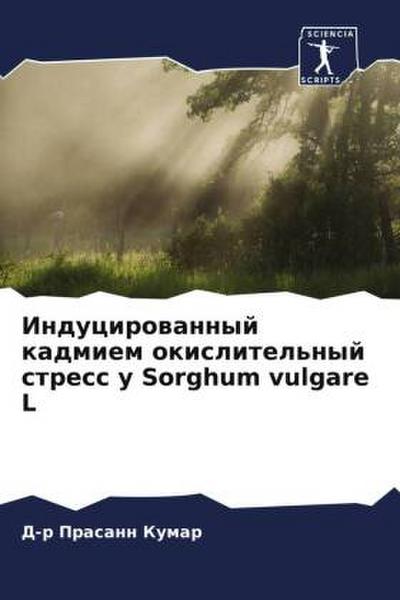 Inducirowannyj kadmiem okislitel’nyj stress u Sorghum vulgare L