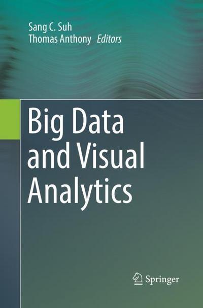 Big Data and Visual Analytics