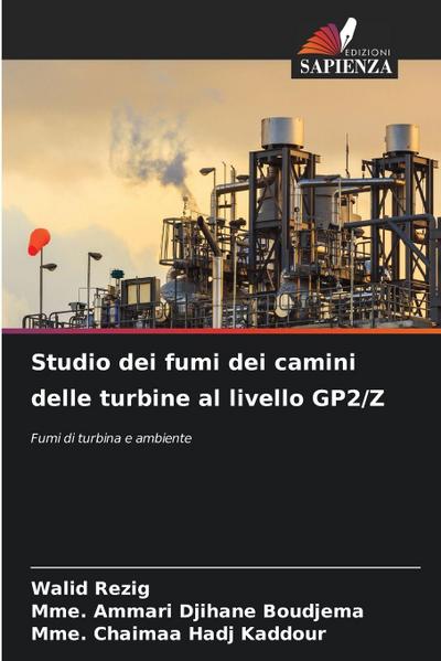 Studio dei fumi dei camini delle turbine al livello GP2/Z