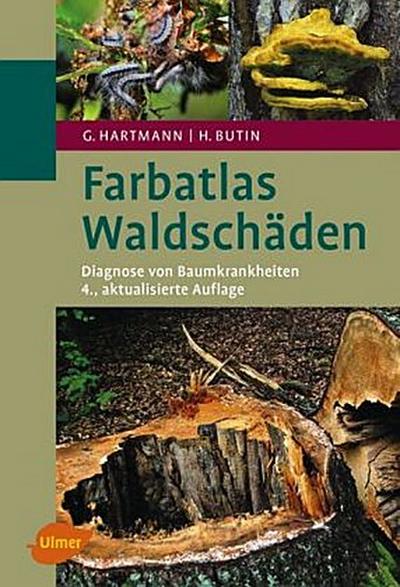 Waldschäden
