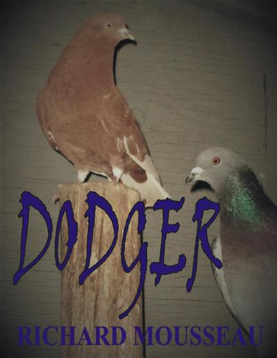 Dodger