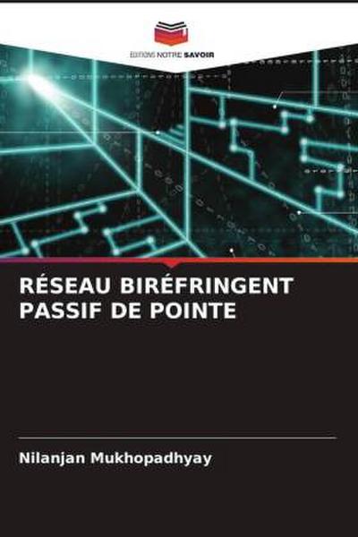 RÉSEAU BIRÉFRINGENT PASSIF DE POINTE