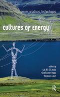 Cultures of Energy