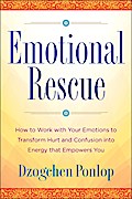 Emotional Rescue