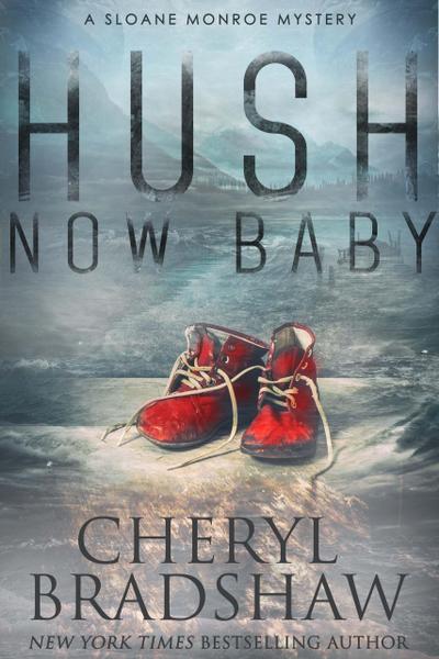 Hush Now Baby (Sloane Monroe Series, #6)