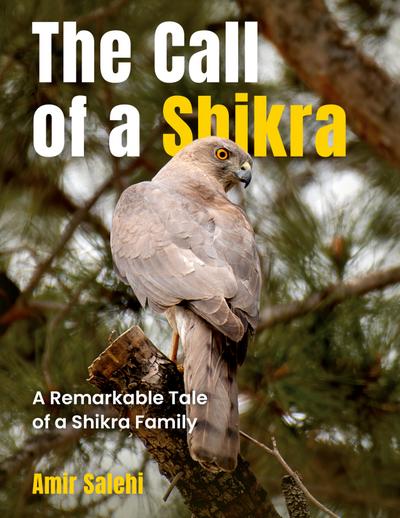 The Call of a Shikra
