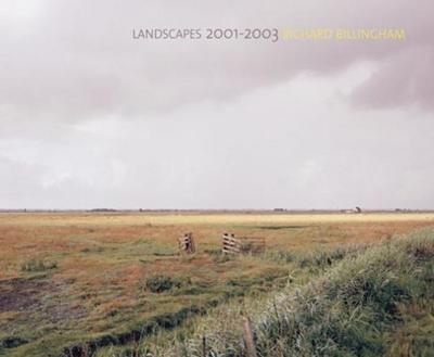 Landscapes 2001-2003