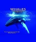 Whales