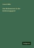 Das Molassemeer in der Bodenseegegend