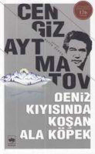 Deniz Kiyisinda Kosan Ala Köpek