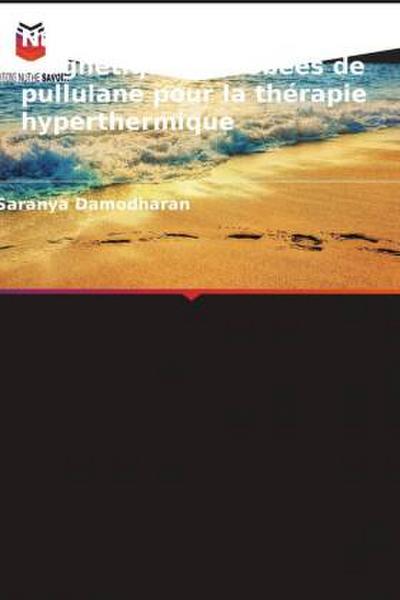 Nanoparticules magnétiques enrobées de pullulane pour la thérapie hyperthermique